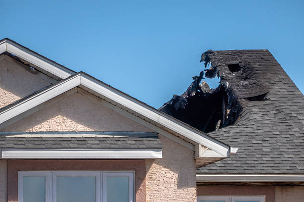 Top rated local Odor Removal specialists in Dublin, PA